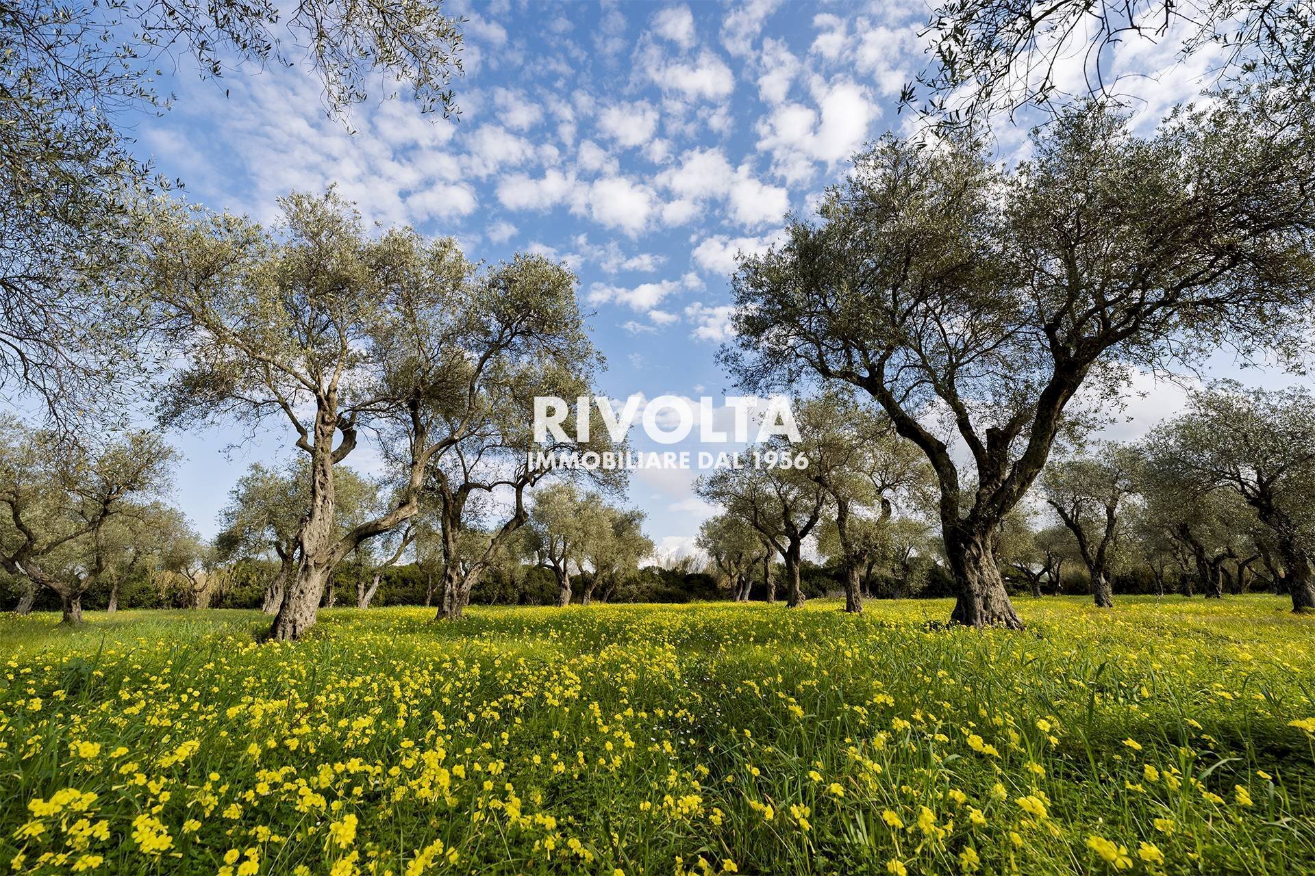 Foto 3 - Agricultural land strada statale 291, Alghero - photo 3