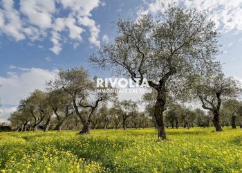 Foto 2 - Agricultural land strada statale 291, Alghero - photo 2