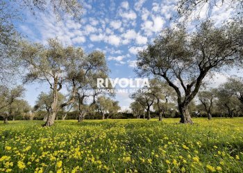 Foto 3 - Agricultural land strada statale 291, Alghero - photo 3