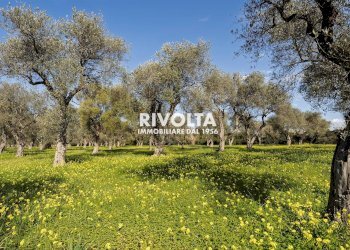 Foto 5 - Agricultural land strada statale 291, Alghero - photo 5