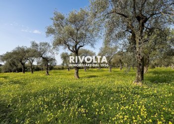 Foto 9 - Agricultural land strada statale 291, Alghero - photo 9