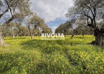 Foto 10 - Agricultural land strada statale 291, Alghero - photo 10