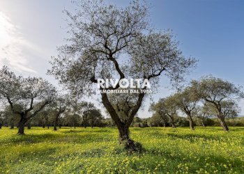 Foto 11 - Agricultural land strada statale 291, Alghero - photo 11