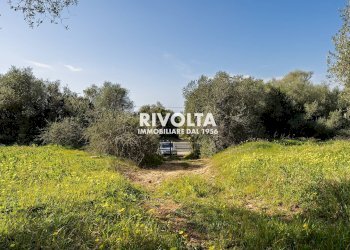 Foto 13 - Agricultural land strada statale 291, Alghero - photo 13