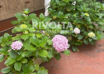 Foto 43 - Trilocale Via Vittorio Spinazzola, Roma - foto 43