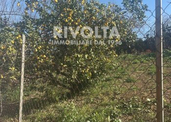 Foto 49 - Trilocale Via Vittorio Spinazzola, Roma - foto 49