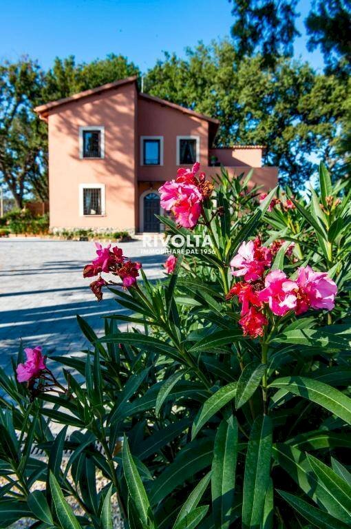 Foto 3 - Villa Via Della Merluzza, Roma - photo 3