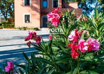 Foto 3 - Villa Via Della Merluzza, Roma - foto 3