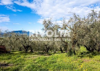 Foto 40 - Villa via roma, Forano - foto 40