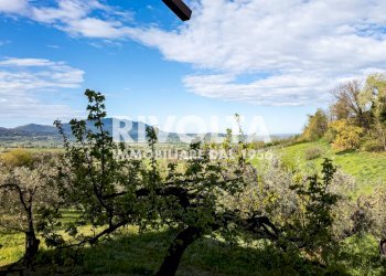 Foto 48 - Villa via roma, Forano - foto 48