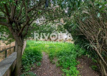 Foto 14 - Trilocale Via Andrea Giardina, Roma - foto 14