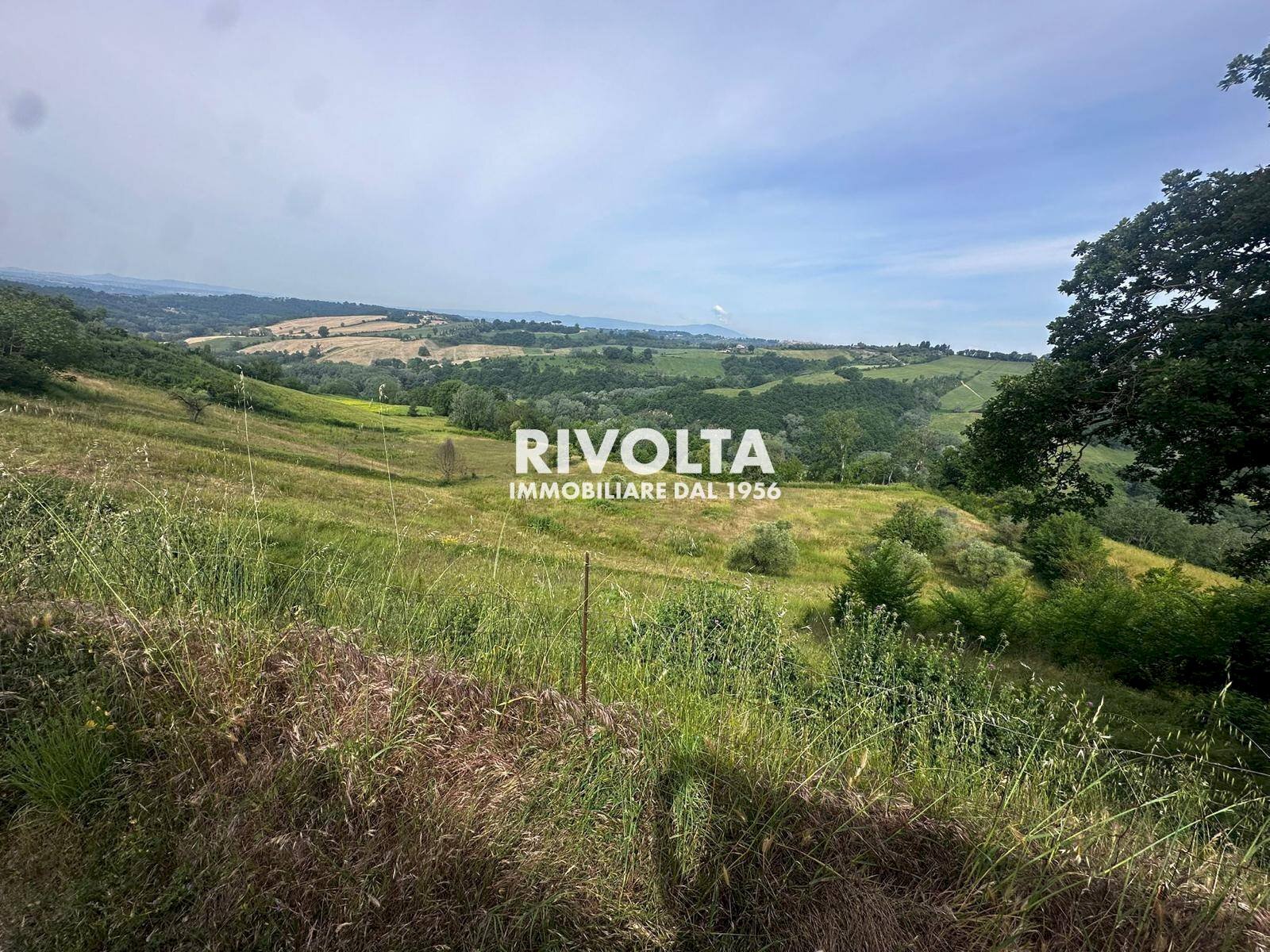 Foto 3 - Agricultural land via collefiore, Collevecchio - photo 3