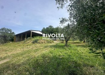 Foto 1 - Agricultural land via collefiore, Collevecchio - photo 1