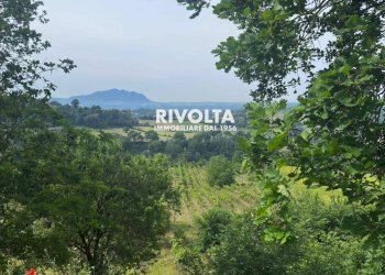 Foto 5 - Agricultural land via collefiore, Collevecchio - photo 5