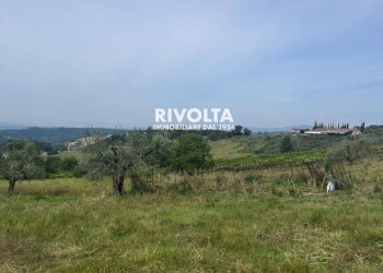 Foto 6 - Agricultural land via collefiore, Collevecchio - photo 6