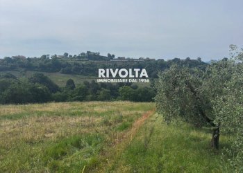 Foto 8 - Agricultural land via collefiore, Collevecchio - photo 8