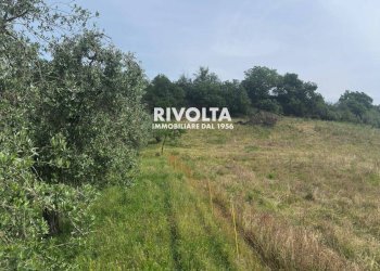 Foto 12 - Agricultural land via collefiore, Collevecchio - photo 12