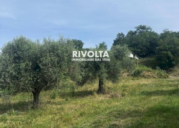 Foto 14 - Agricultural land via collefiore, Collevecchio - photo 14