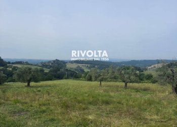 Foto 15 - Agricultural land via collefiore, Collevecchio - photo 15