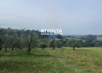 Foto 17 - Agricultural land via collefiore, Collevecchio - photo 17