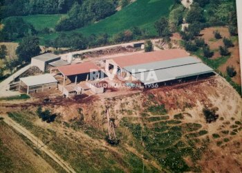 Foto 18 - Agricultural land via collefiore, Collevecchio - photo 18