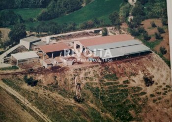 Foto 19 - Agricultural land via collefiore, Collevecchio - photo 19