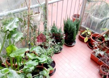 Foto 14 - Appartamento Via Ferraris, Vado Ligure - foto 14