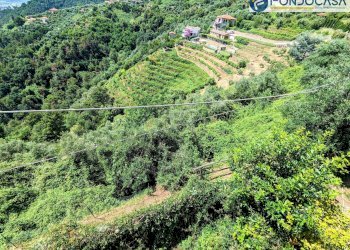 piane di proprietà - Villa Via Lenzetti, Montignoso - foto 28