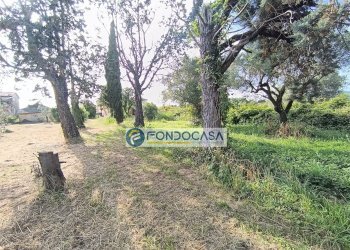 terreno - Independent house via rubiano, Sarzana - photo 6