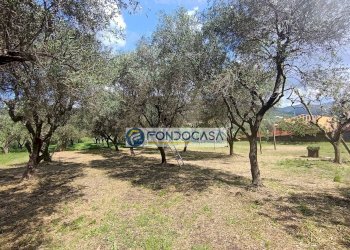 terreno edificabile - Terreno edificabile vicolo serravalle, Luni - foto 4