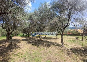 terreno - Terreno edificabile vicolo serravalle, Luni - foto 5