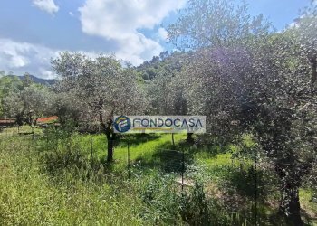 terreno - Terreno edificabile vicolo serravalle, Luni - foto 6