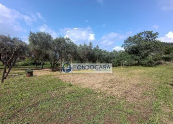 terreno edificabile - Terreno edificabile vicolo serravalle, Luni - foto 7