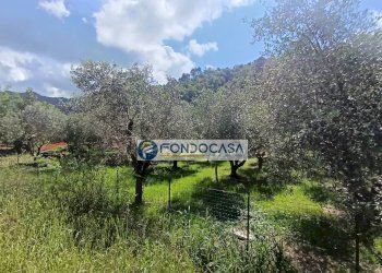 terreno edificabile - Terreno edificabile vicolo serravalle, Luni - foto 9