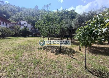 terreno edificabile - Terreno edificabile vicolo serravalle, Luni - foto 10