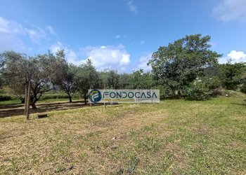 terreno edificabile - Terreno edificabile vicolo serravalle, Luni - foto 12