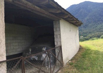 Foto 7 - Casa semi indipendente VIA BEATO BERNARDINO, Feltre - foto 7