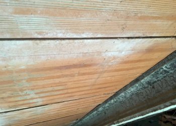 Foto 30 - Casa semi indipendente VIA BEATO BERNARDINO, Feltre - foto 30