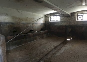 Foto 35 - Casa semi indipendente VIA BEATO BERNARDINO, Feltre - foto 35