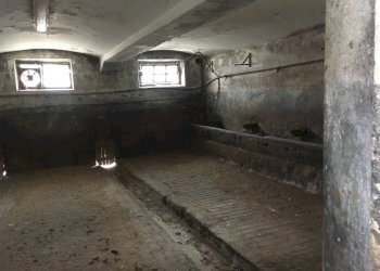 Foto 36 - Casa semi indipendente VIA BEATO BERNARDINO, Feltre - foto 36