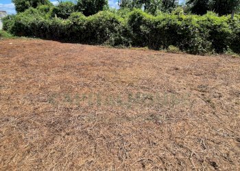 Foto 5 - Terreno edificabile Marcianise - foto 5