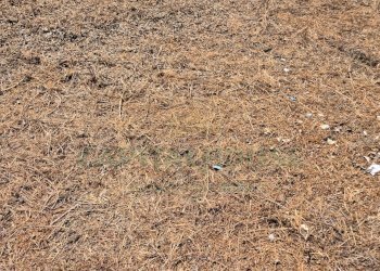 Foto 6 - Terreno edificabile Marcianise - foto 6