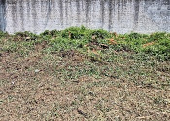 Foto 7 - Terreno edificabile Marcianise - foto 7