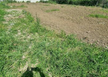 Foto 3 - Terreno edificabile Marcianise - foto 3