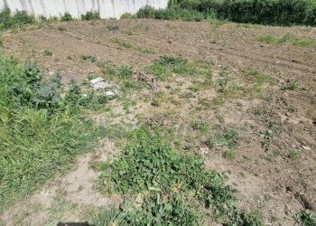 Foto 4 - Terreno edificabile Marcianise - foto 4