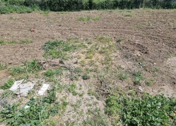 Foto 9 - Terreno edificabile Marcianise - foto 9