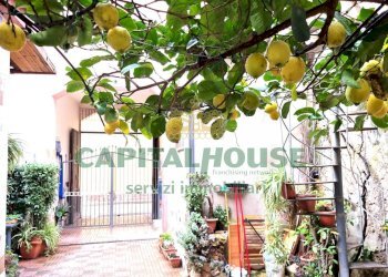 Foto 10 - Casa indipendente Portico di Caserta - foto 10