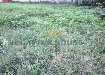 Foto 3 - Terreno edificabile Capodrise - foto 3