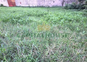 Foto 5 - Terreno edificabile Capodrise - foto 5