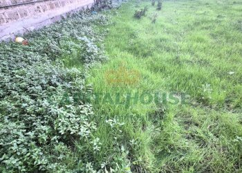 Foto 18 - Terreno edificabile Capodrise - foto 18